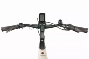 Gazelle Chamonix C5 HMS 630 Wh Damen weiß 2024